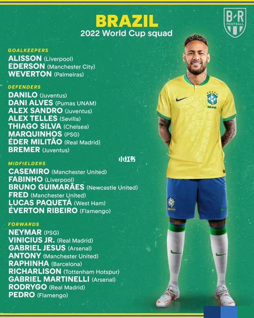 巴西在欧洲杯什么实力（巴西欧洲杯大名单公布）